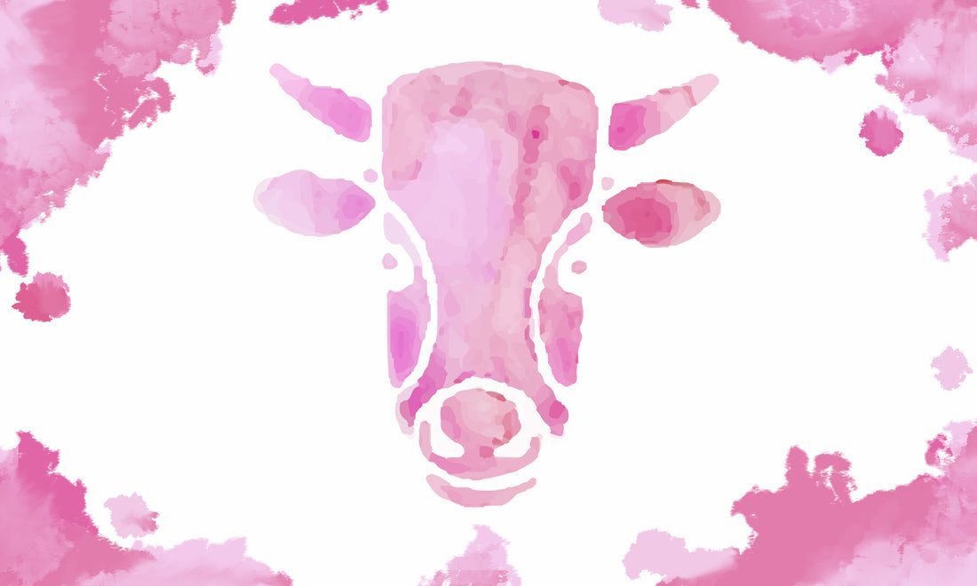 Tantalizing Taurus: This is Your Year