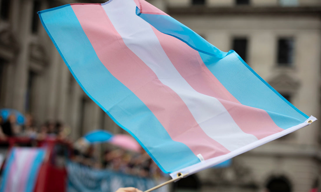 Telling Trans Stories this Transgender Day of Visibility