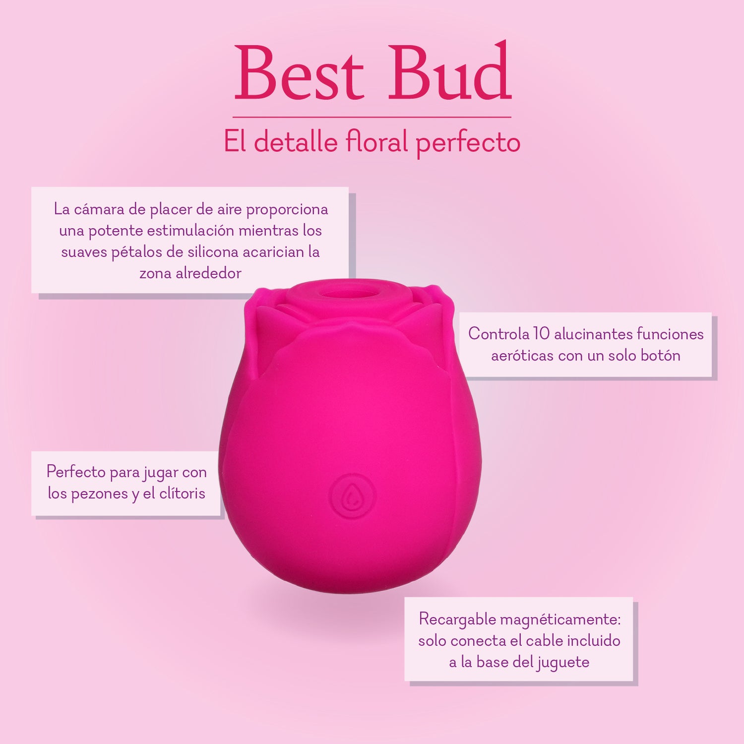 Best Bud Spanish Infographic 2 Pure Romance