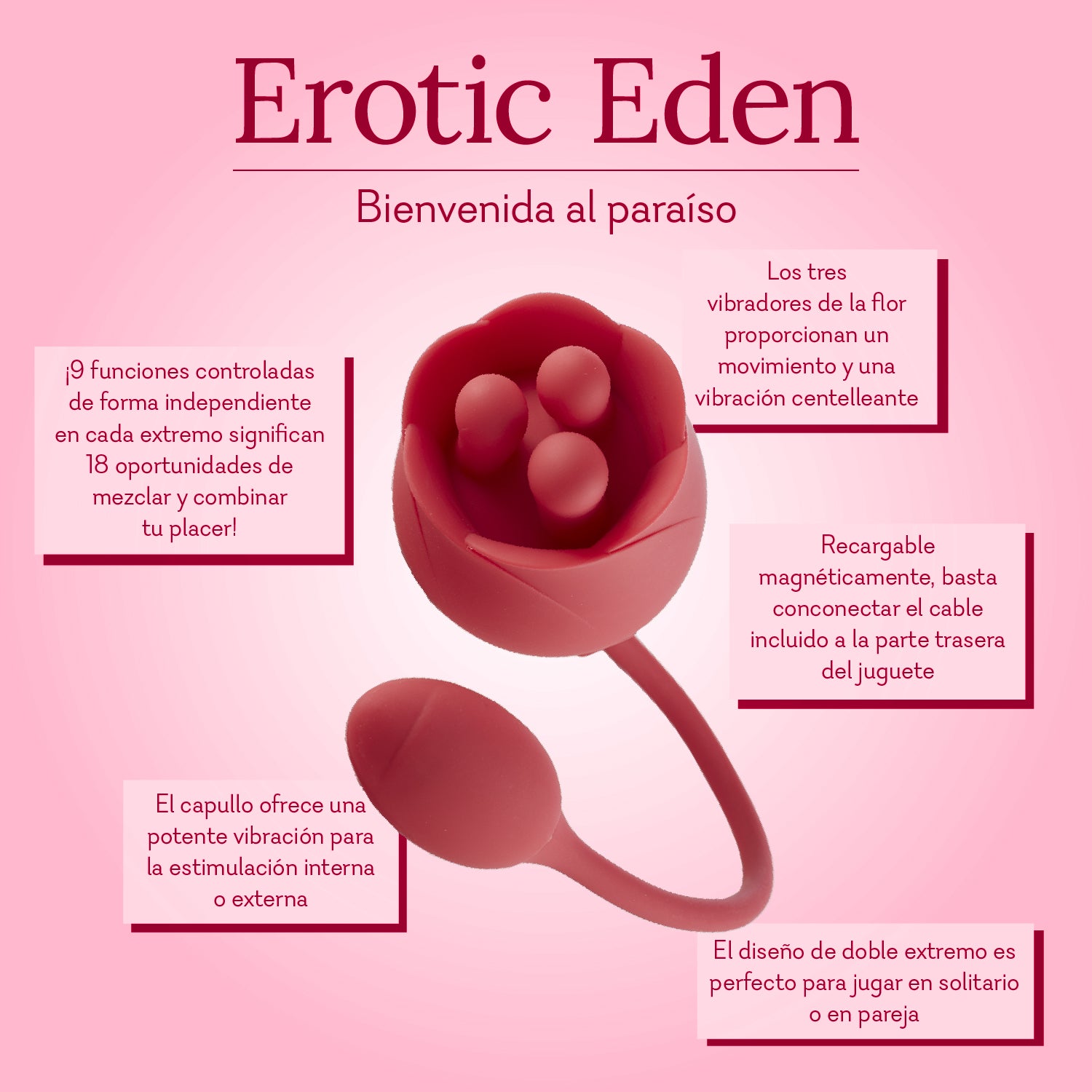 Erotic Eden Rose Vibrator Infographic Spanish Pure Romance
