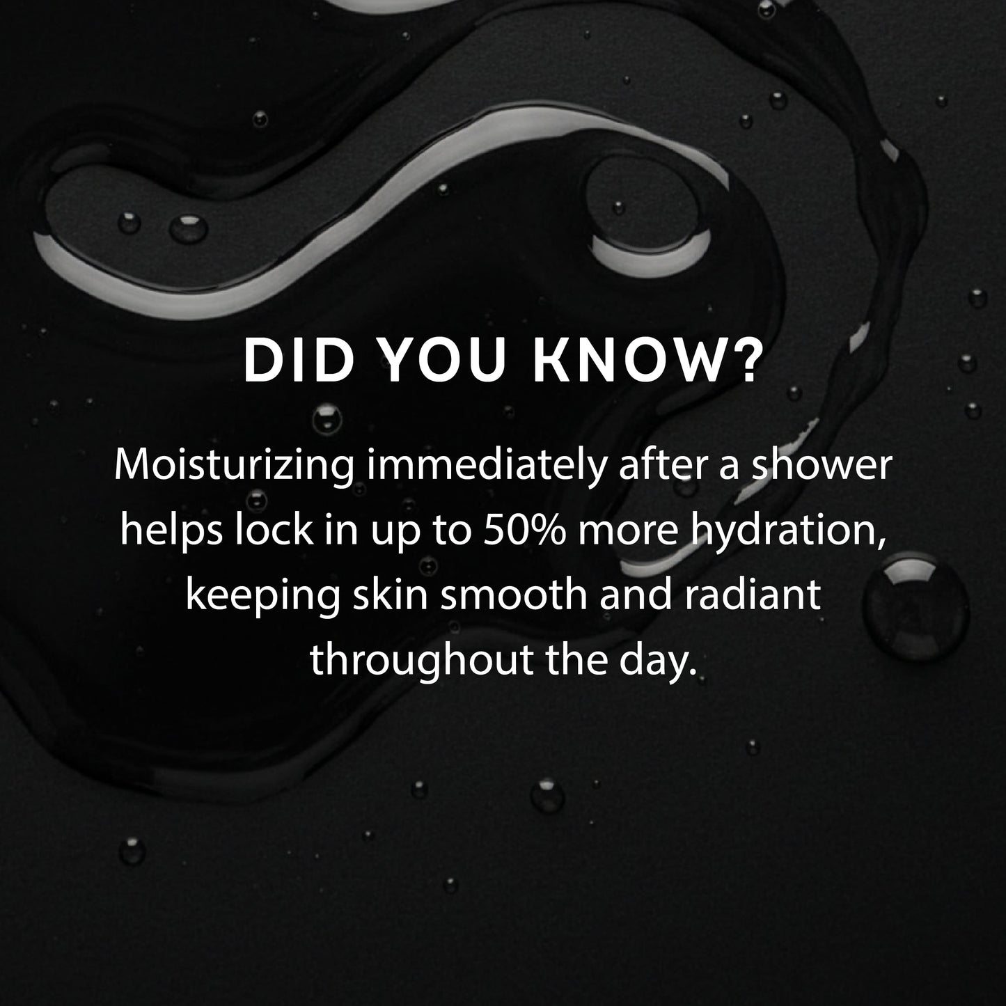 Lustra - Dirty French